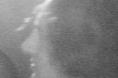 yoghurt_images_photo_snaps_20060810_photoshoot_de-meerse_caspar_victor_groot